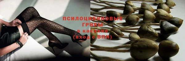 первитин Белокуриха