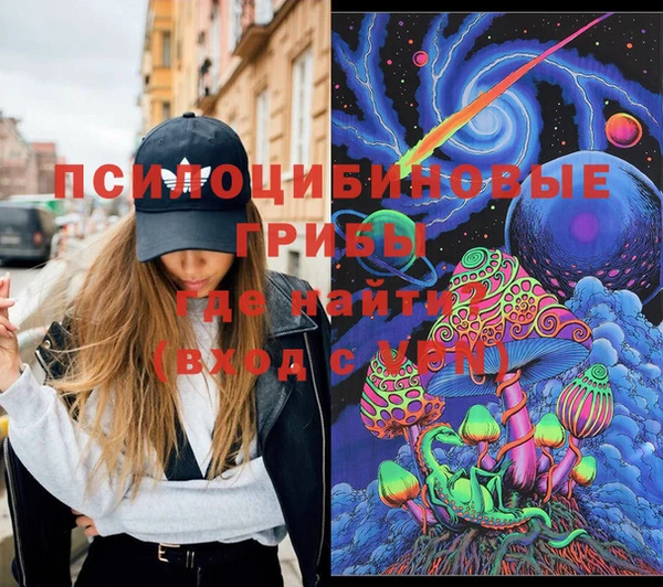 кокс Елизово